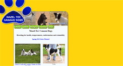 Desktop Screenshot of mazeltovcanaandogs.com
